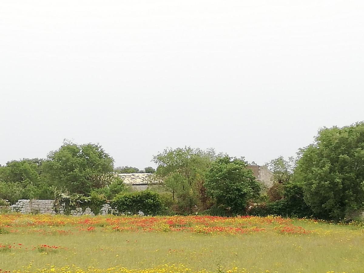 Agriturismo Fondo Paliemmu モーディカ エクステリア 写真