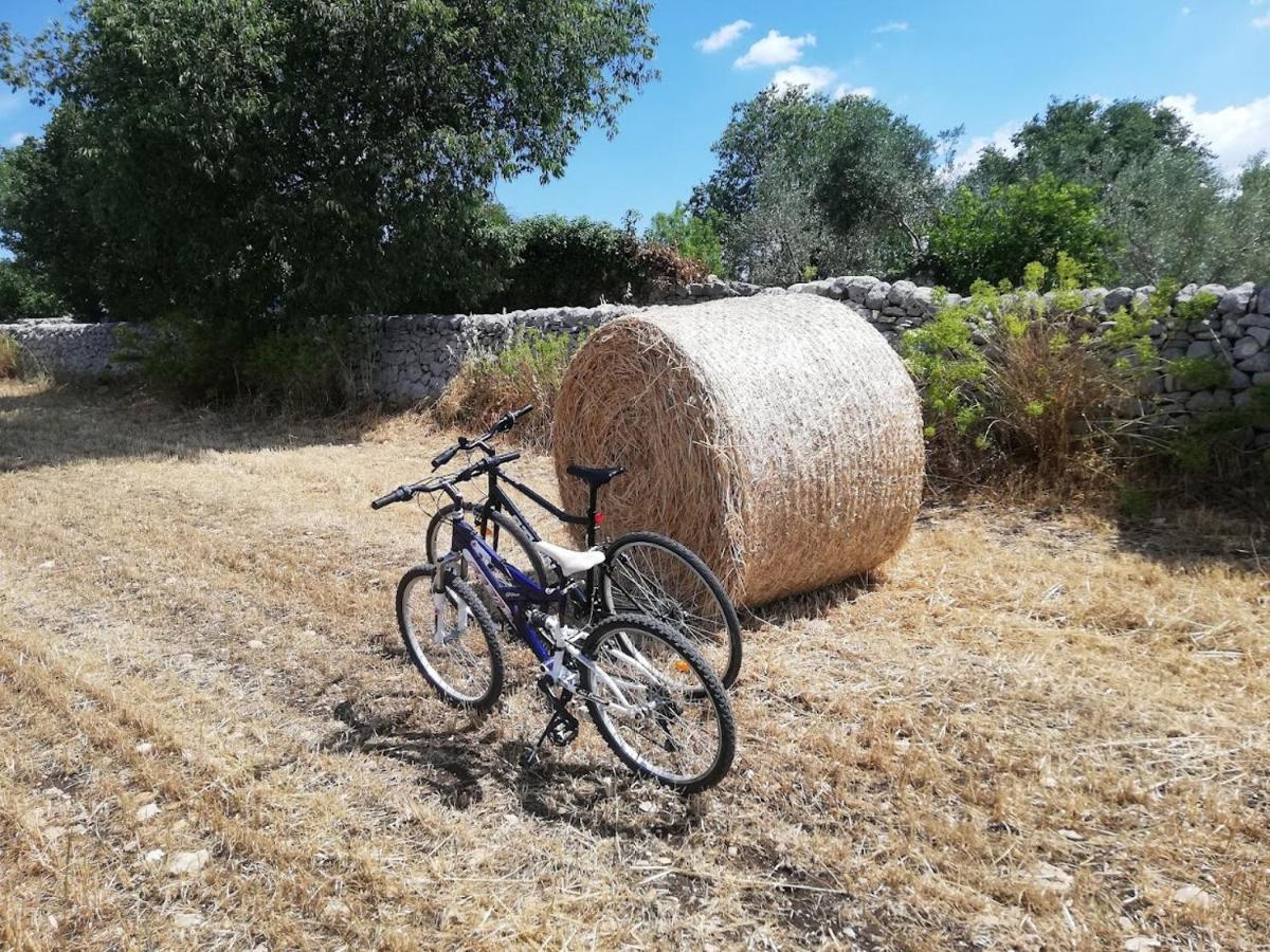 Agriturismo Fondo Paliemmu モーディカ エクステリア 写真